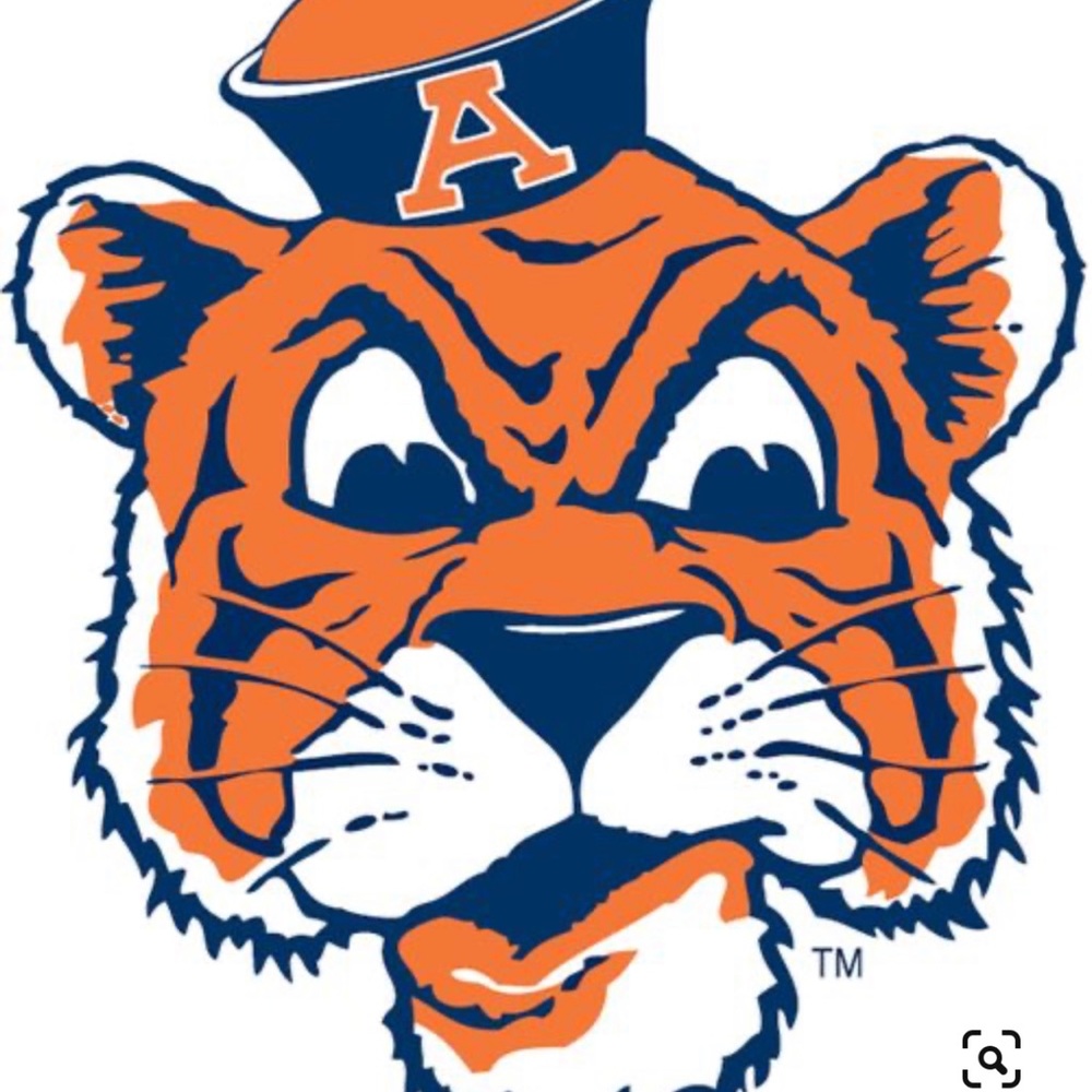 🆕🐅Auburn Tiger Summer Outfit 🏈 - Picture 2 of 5